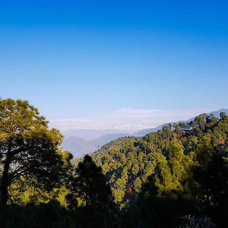 Hotel Homely Abode Dalhousie Esterno foto