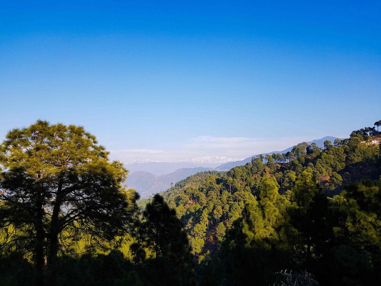 Hotel Homely Abode Dalhousie Esterno foto